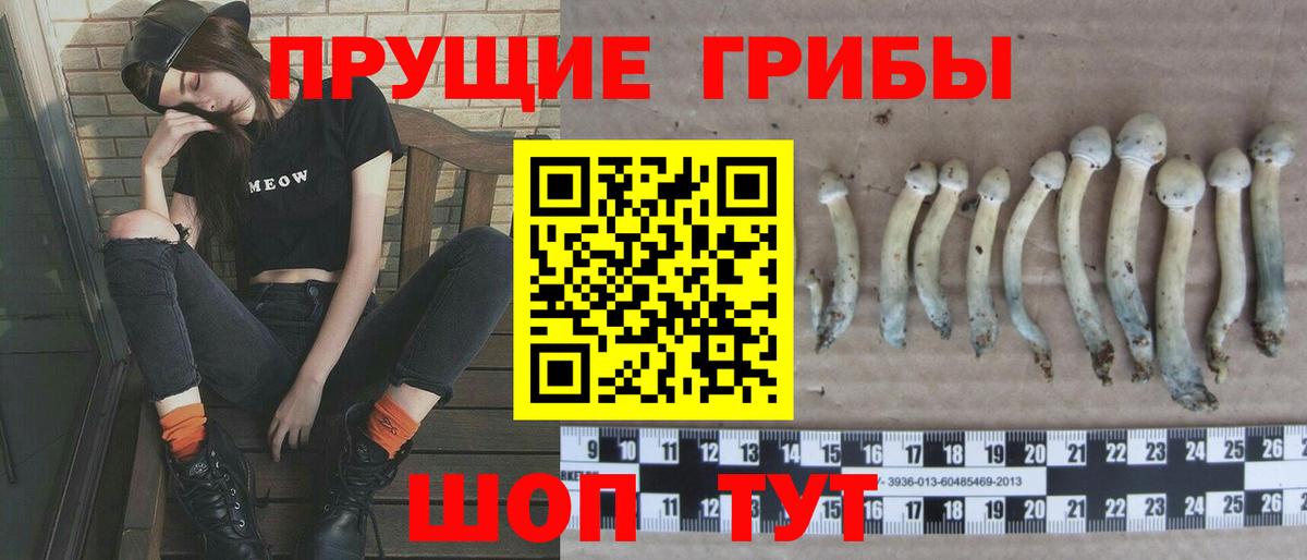 Новотроицк  Псилоцибиновые грибы прущие грибы  Вход с VPN 