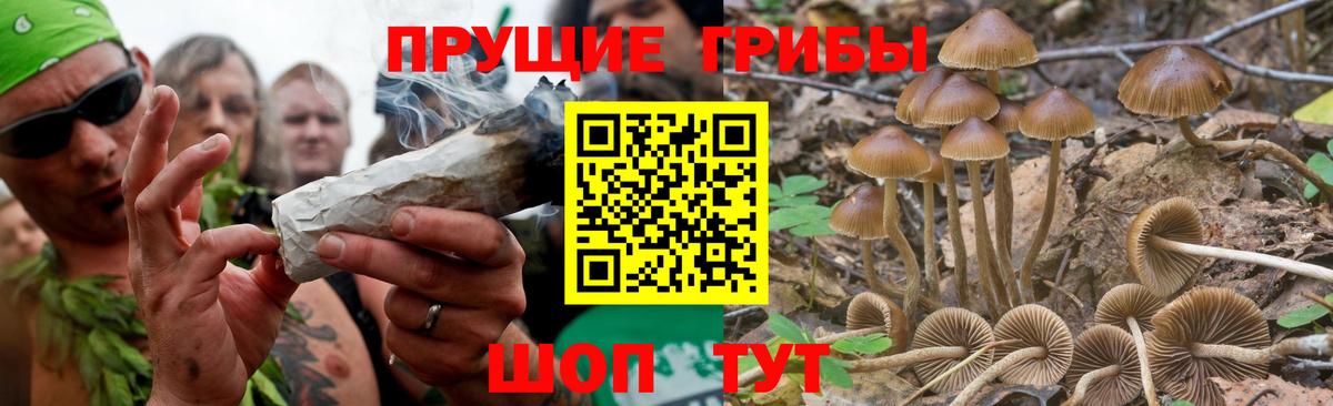 Галлюциногенные грибы GOLDEN TEACHER Новотроицк